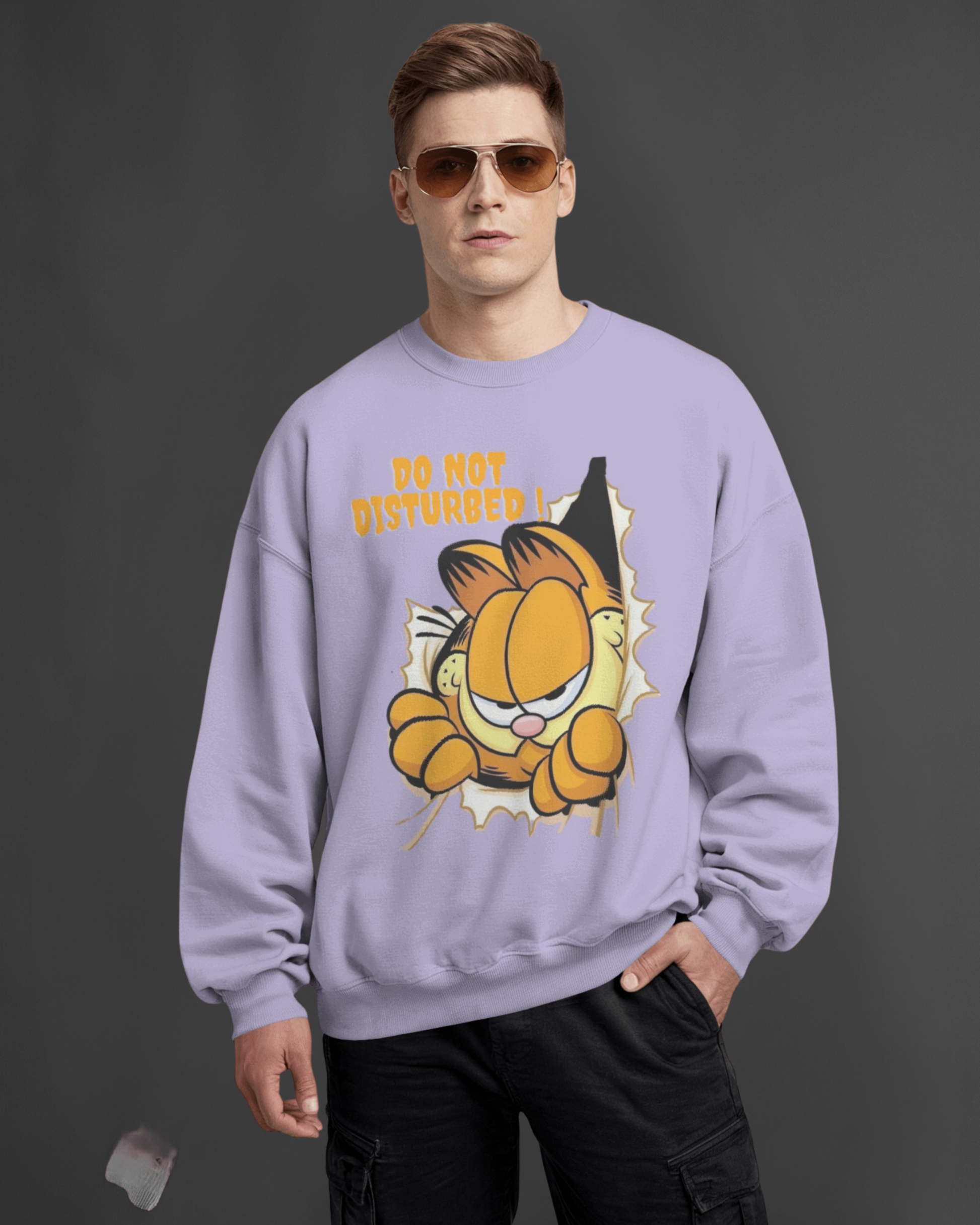 Garfield's DND